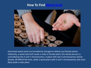 How To Find Weed Seed