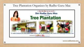 Tree Plantation Organizes by Radhe Guru Maa