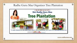 Radhe Guru Maa Organizes Tree Plantation