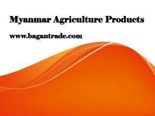 Myanmar Agriculture Products