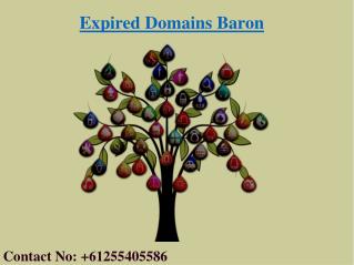 Where to Buy Domain Names | Cheap Expired Domains | Expired Domains Baron