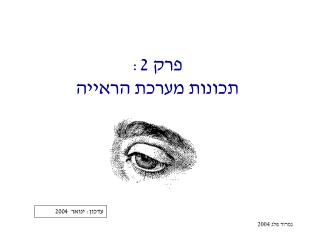 פרק 2: תכונות מערכת הראייה