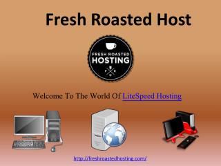 Business Hosting Provider