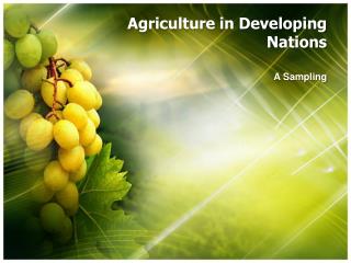 Agriculture in Developing Nations