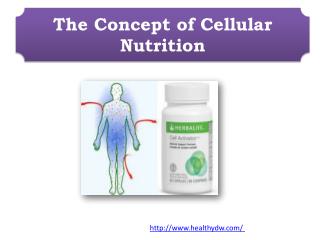 The Concept of Cellular Nutrition