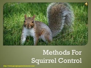Methods for Squirrel Control