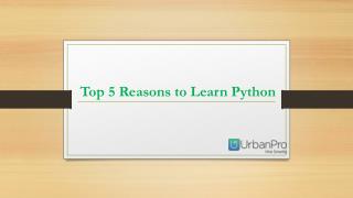 Top 5 Reasons to Learn Python