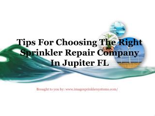 Tips For Choosing The Right Sprinkler Repair Company In Jupiter FL