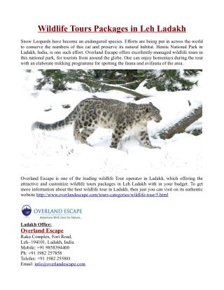 Wildlife Tours Packages in Leh Ladakh