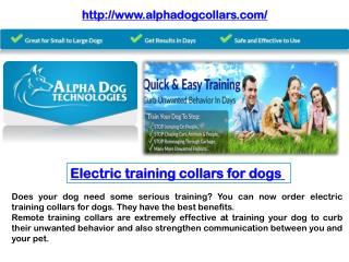 Electric Training Collars for dogs