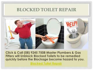 Blocked Toilet Repair