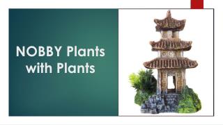 NOBBY Plants with Plants