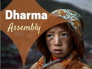 Delight Dharma Assembly