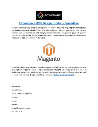 ECommerce Web Design London - Sowedane