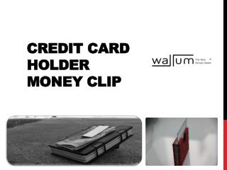 Credit Card Holder Money Clip