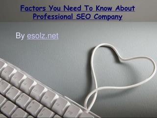 Aspects of a professional SEO company