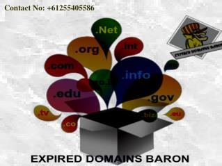 High PR Expired Domain Finder At EXPIRED DOMAINS BARON