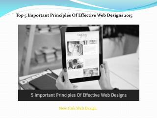 Principles of effective web designs