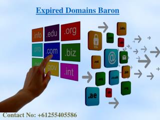 Find And Buy Expired Domains At EXPIRED DOMAINS BARON