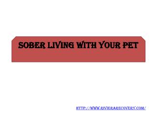 Sober Living with Your Pet