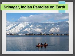 Srinagar Hotels