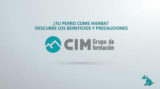 CIM Formación- ¿Qué ocurre si los perros comen hierba?