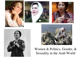 Women &amp; Politics, Gender, &amp; Sexuality in the Arab World