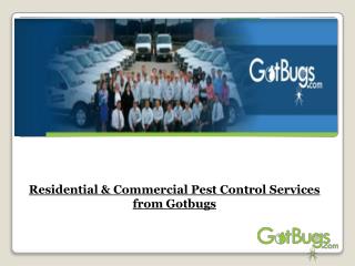 Residential & Commercial Pest Control Services from Gotbugs
