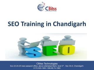 Seo Training In Chandigarh