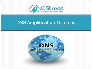 DNS Amplification Domains