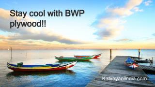 Be stay cool with BWP plywood!!