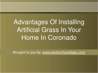 Advantages Of Installing Artificial Grass In Your Home In Coronado