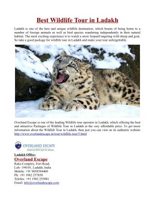 Best Wildlife Tour in Ladakh