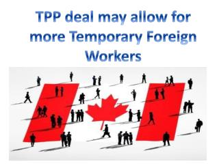 TPP deal may allow for more Temporary Foreign Workers