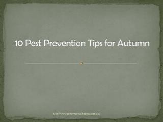 10 Pest Prevention Tips for Autumn