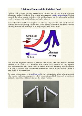 3 Primary Features of the Umbilical Cord