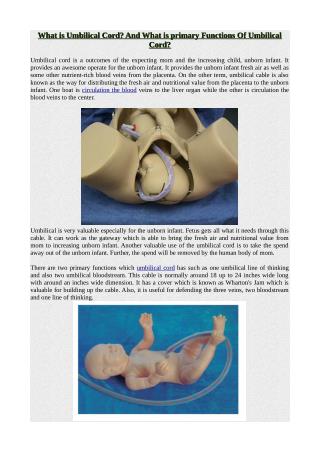 What is Umbilical Cord? And What is primary Functions Of Umbilical Cord?.pdf