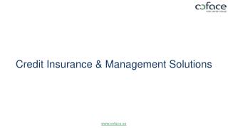 Benefits of Credit Insurance and Management Solutions