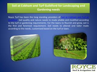 Soil at Cobham and Turf Guildford for Landscaping and Gardening needs