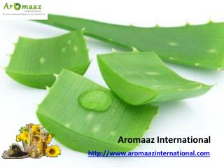 Buy Online Natural Essential Oil @ Aromaazinternational.com