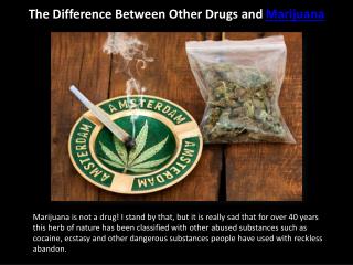 The Difference Between Other Drugs and Marijuana