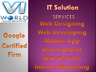 Website Development(9899756694) Company in Noida India -visainfoworld.com
