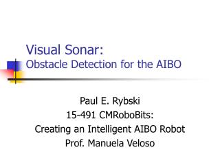 Visual Sonar: Obstacle Detection for the AIBO
