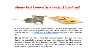 Mouse pest control services in ahmedabad