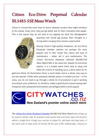 Citizen Eco-Drive Perpetual Calendar BL5483-55E Mens Watch