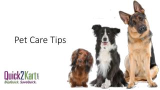 Pet Care Products