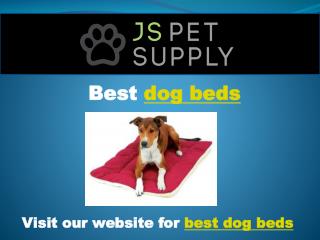 best dog beds