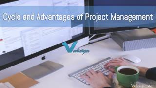 Cycle and Advantages of Project Management