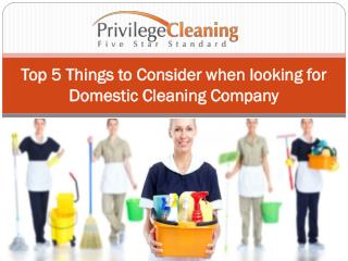 Top 5 Things to Consider when looking for Domestic Cleaning Company