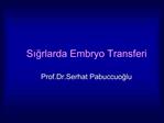 Sigrlarda Embryo Transferi